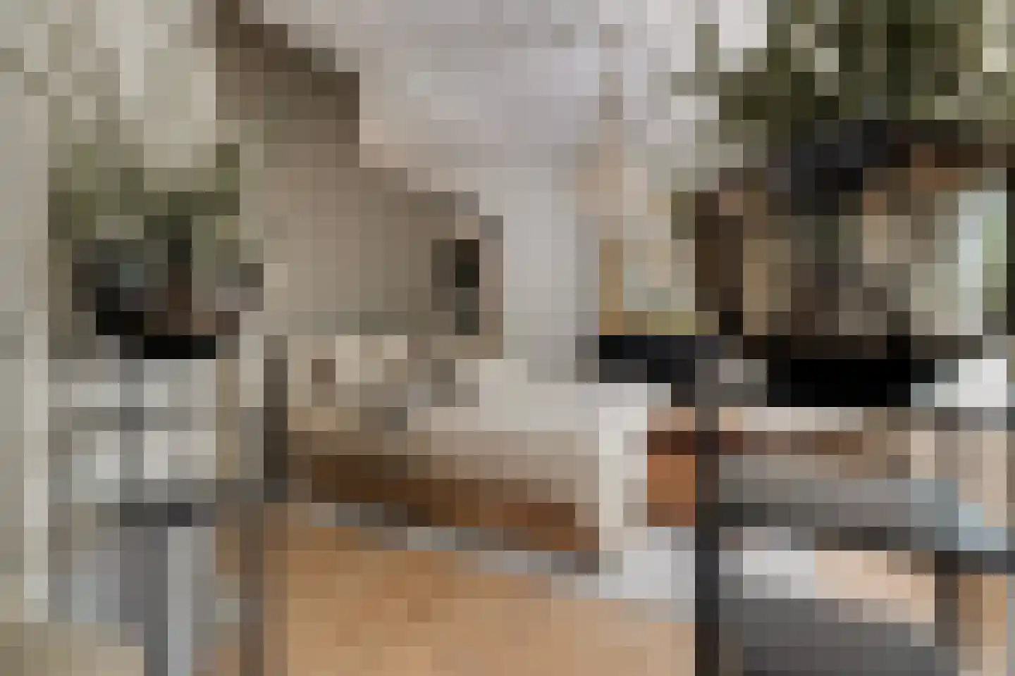 Jericholaan 82 A Rotterdam thumbnail 13