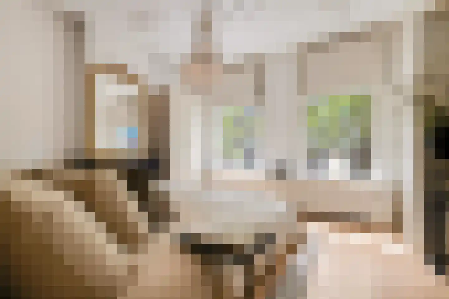 Jericholaan 82 A Rotterdam thumbnail 16