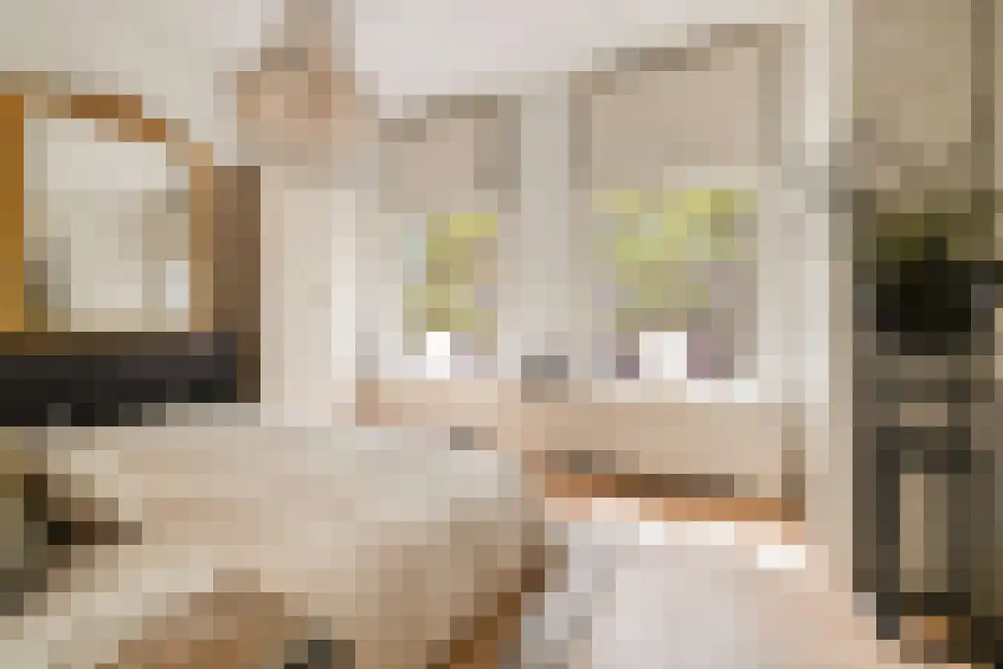 Jericholaan 82 A Rotterdam thumbnail 18
