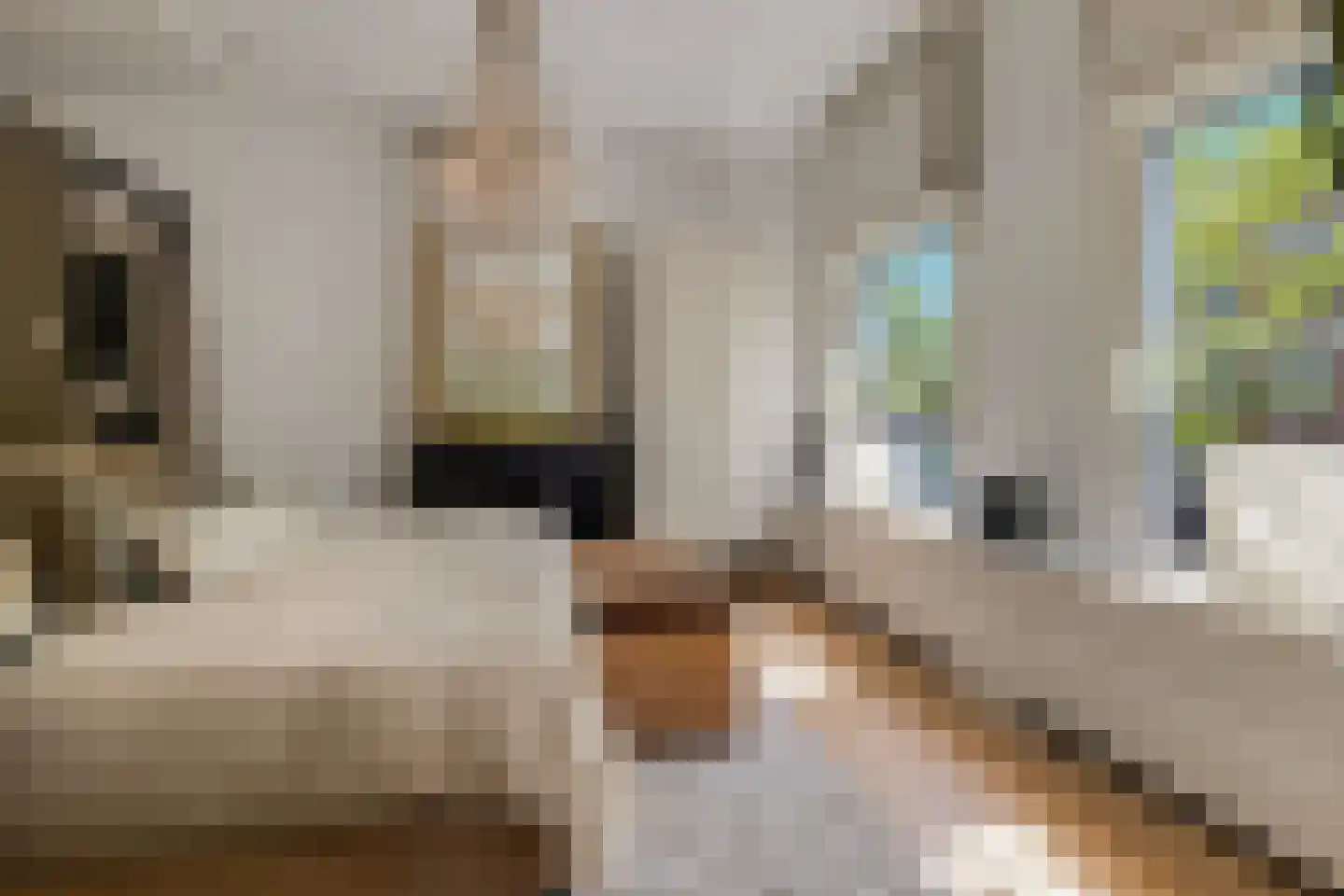 Jericholaan 82 A Rotterdam thumbnail 19