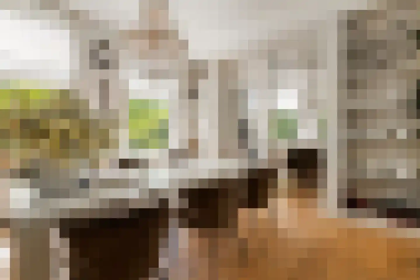 Jericholaan 82 A Rotterdam thumbnail 27