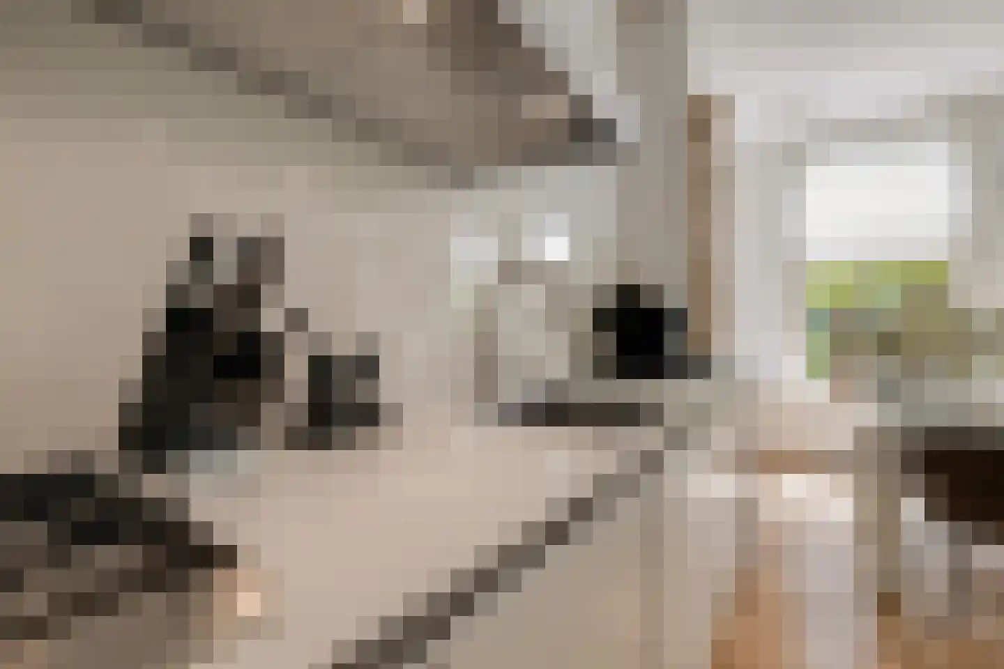 Jericholaan 82 A Rotterdam thumbnail 30