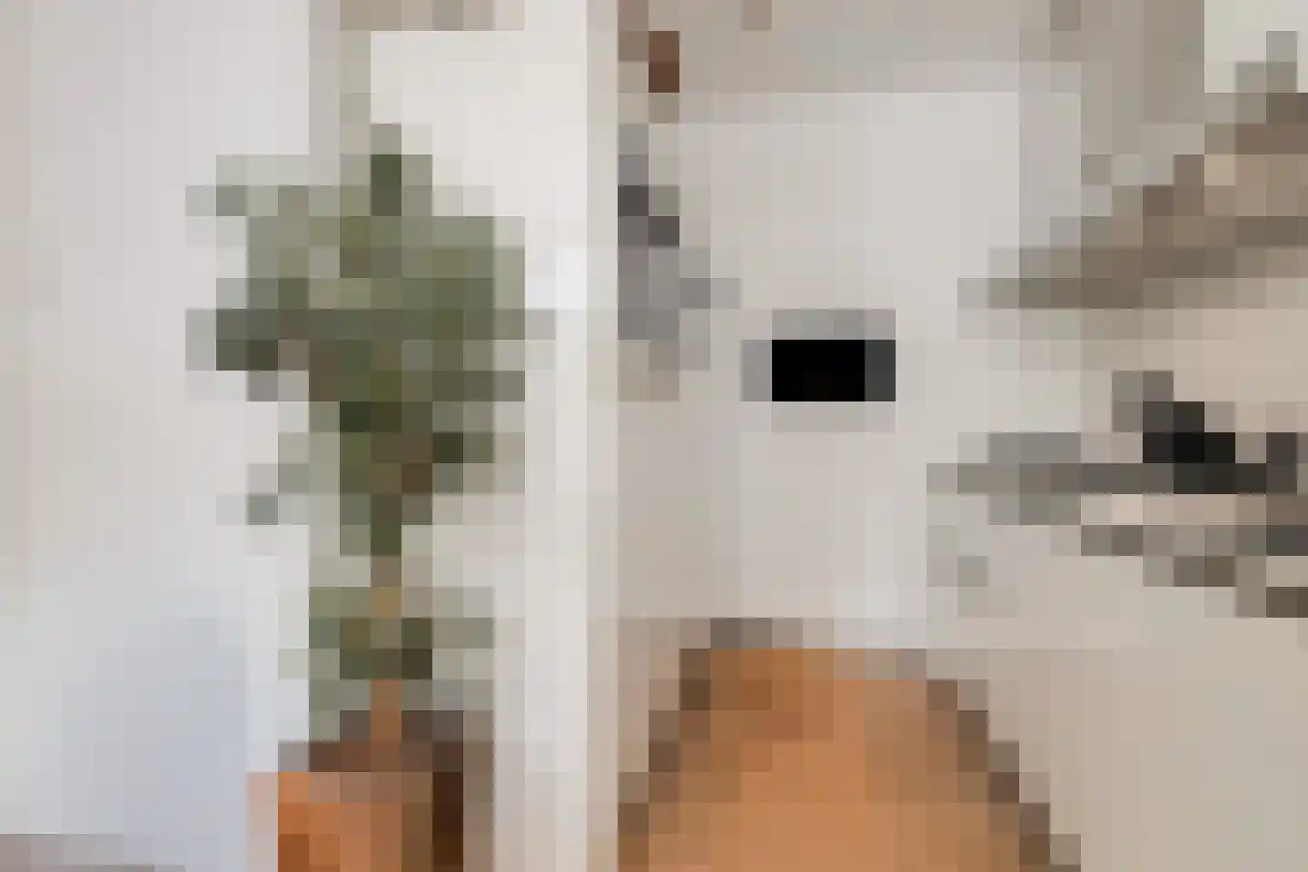 Jericholaan 82 A Rotterdam thumbnail 32