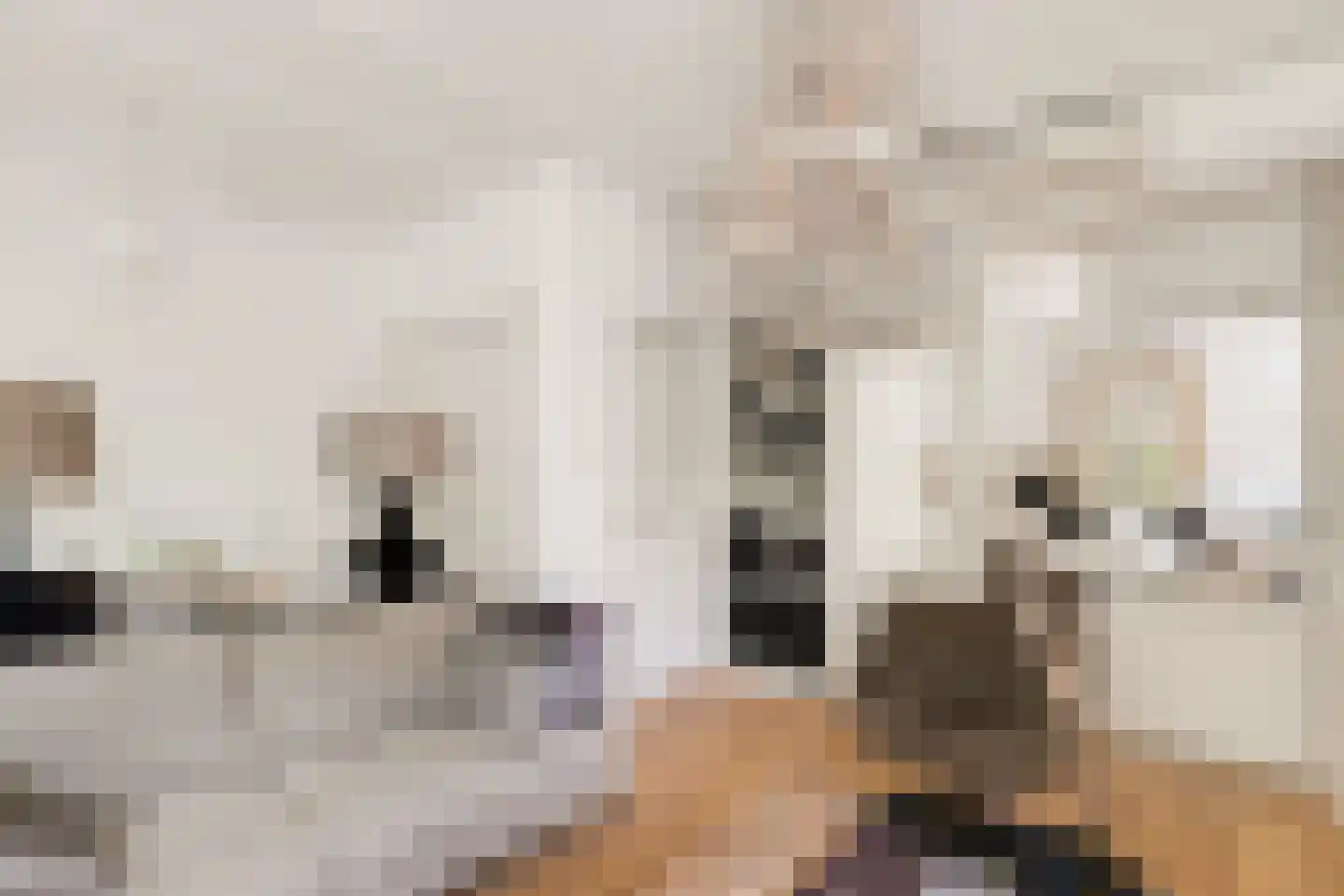 Jericholaan 82 A Rotterdam thumbnail 34