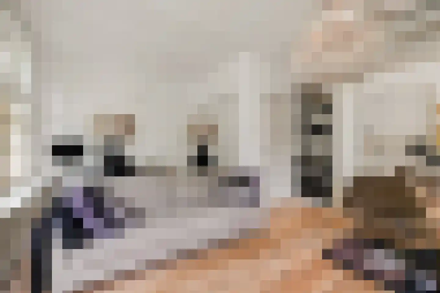 Jericholaan 82 A Rotterdam thumbnail 37