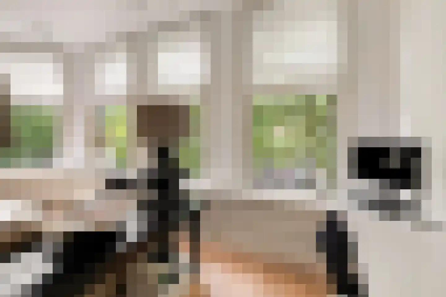 Jericholaan 82 A Rotterdam thumbnail 38