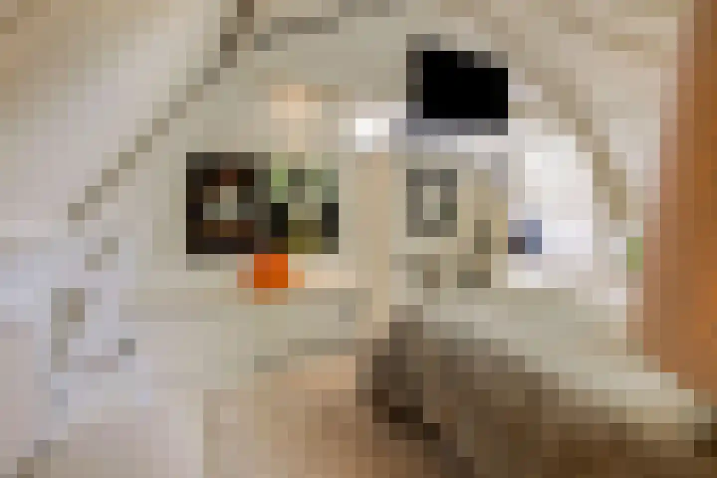 Jericholaan 82 A Rotterdam thumbnail 41
