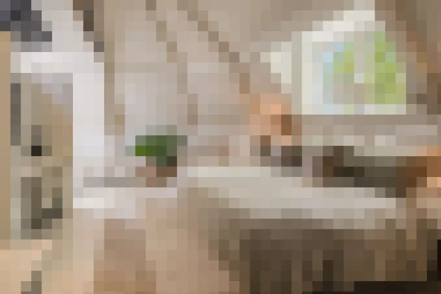 Jericholaan 82 A Rotterdam thumbnail 42