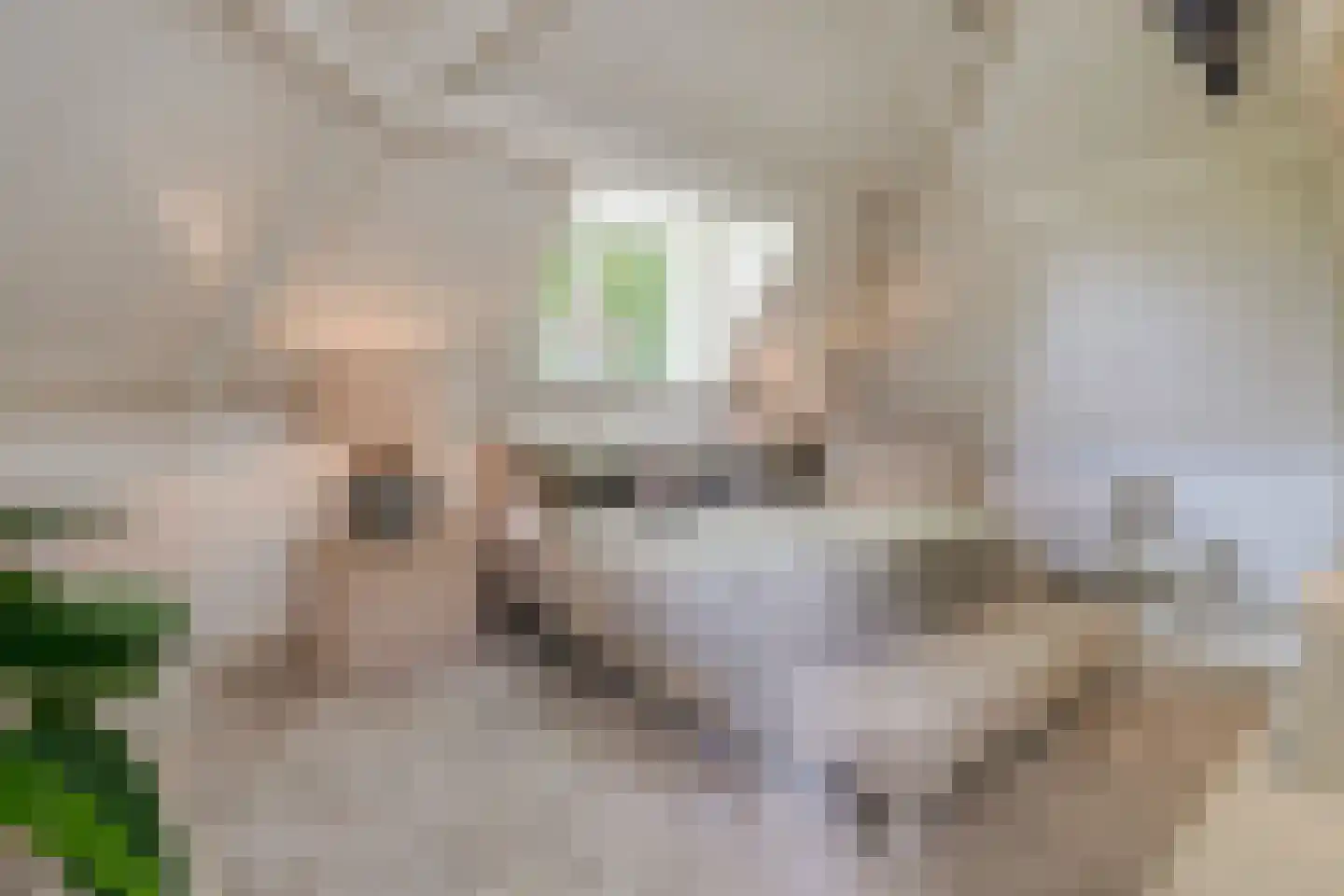 Jericholaan 82 A Rotterdam thumbnail 43