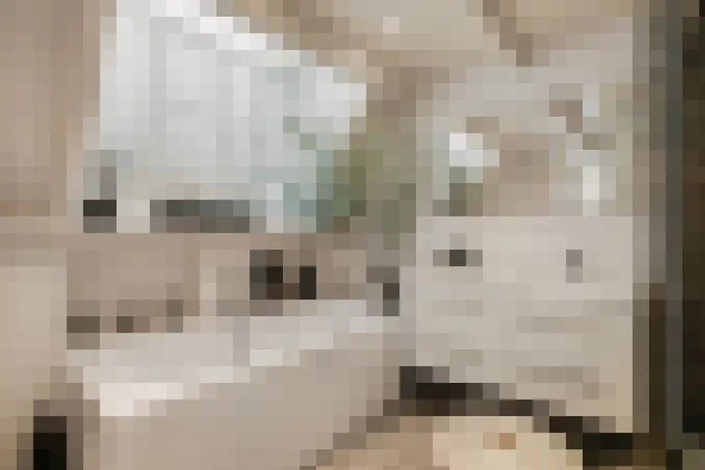 Jericholaan 82 A Rotterdam thumbnail 47