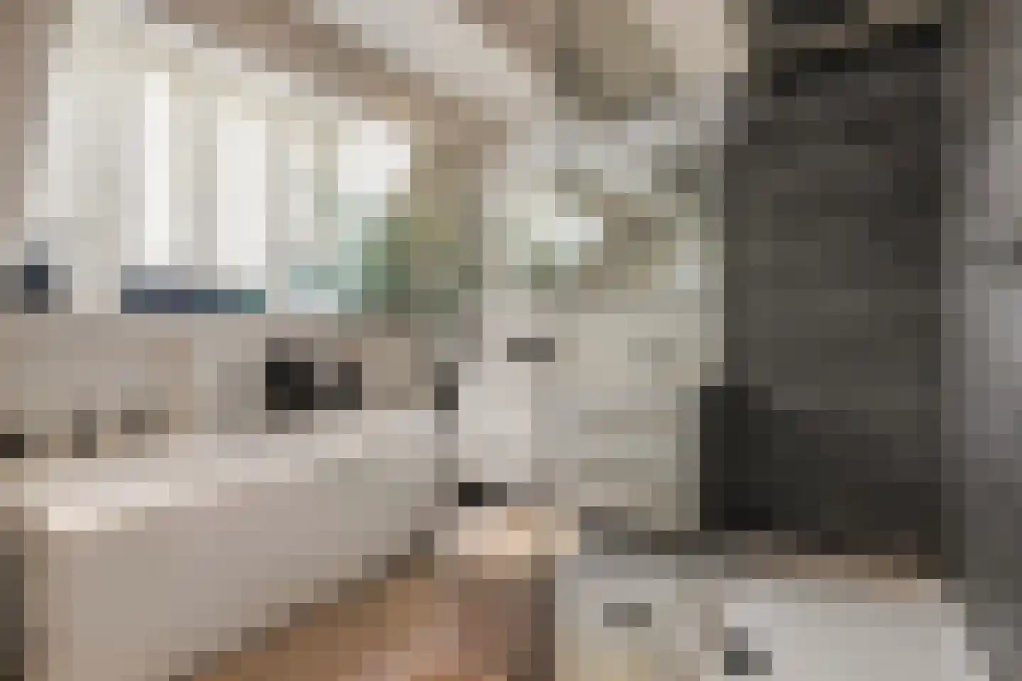 Jericholaan 82 A Rotterdam thumbnail 48
