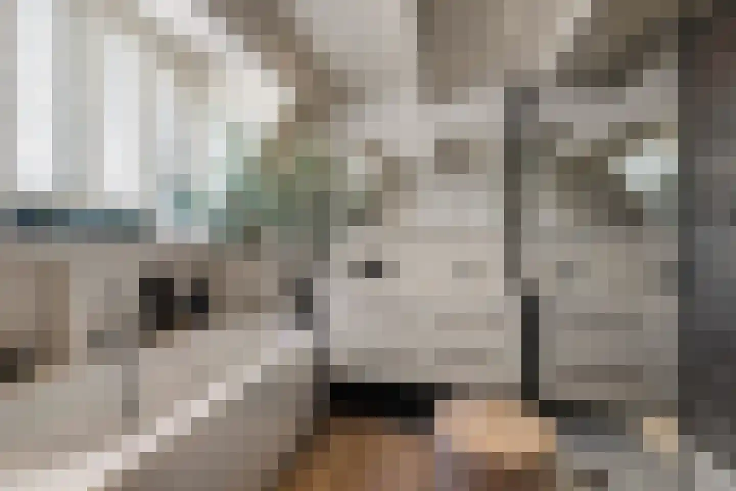 Jericholaan 82 A Rotterdam thumbnail 50