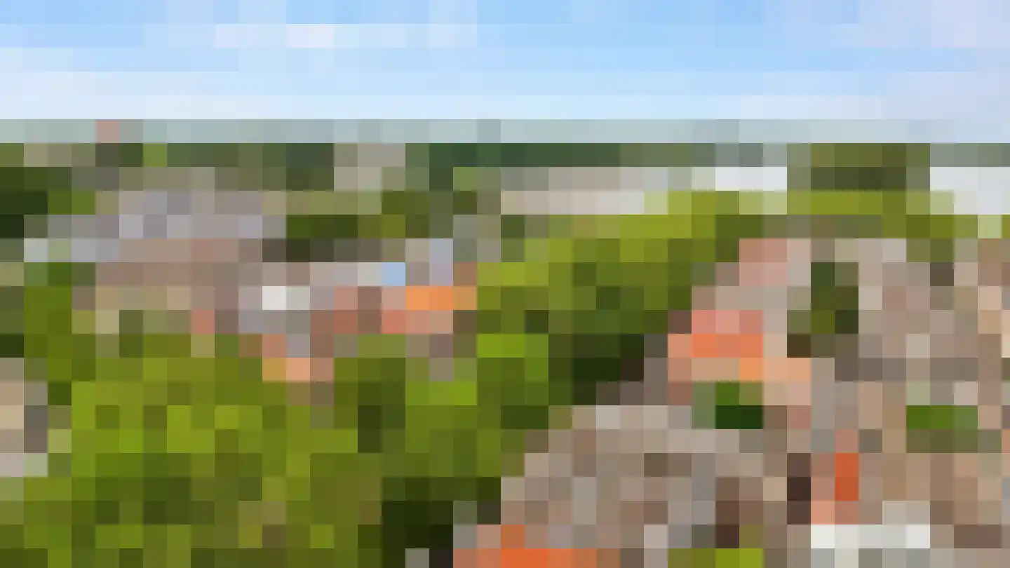 Jericholaan 82 A Rotterdam thumbnail 56