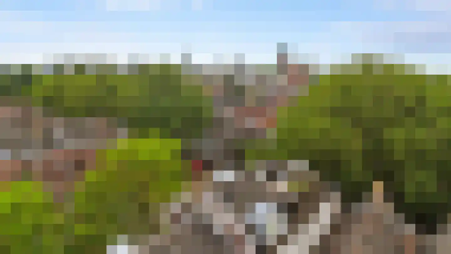 Jericholaan 82 A Rotterdam thumbnail 58
