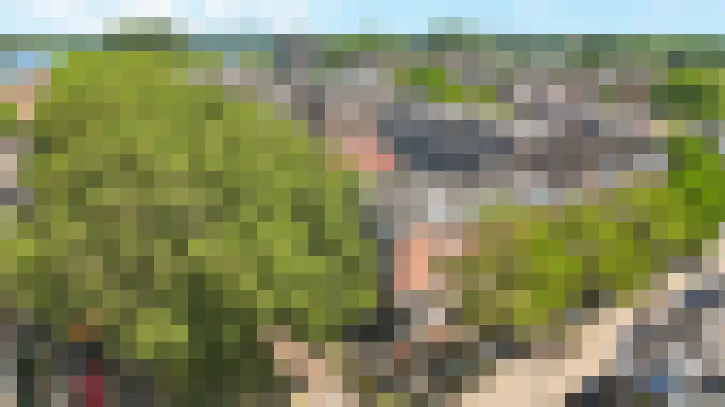 Jericholaan 82 A Rotterdam thumbnail 6