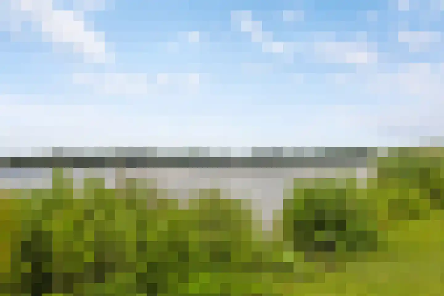 Jericholaan 82 A Rotterdam thumbnail 64