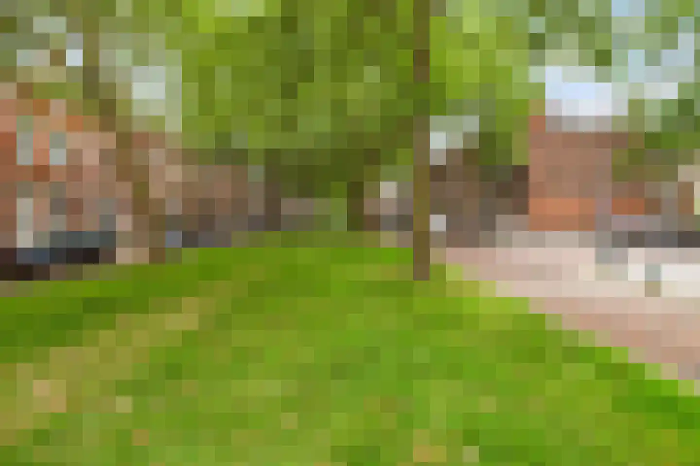 Jericholaan 82 A Rotterdam thumbnail 72