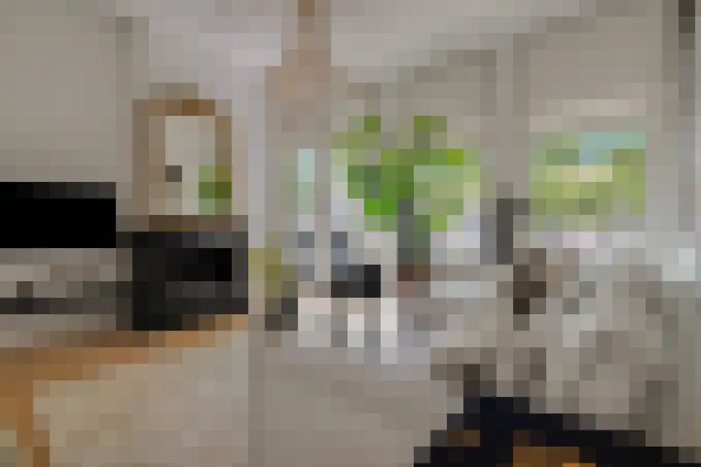 Jericholaan 82 A Rotterdam thumbnail 8