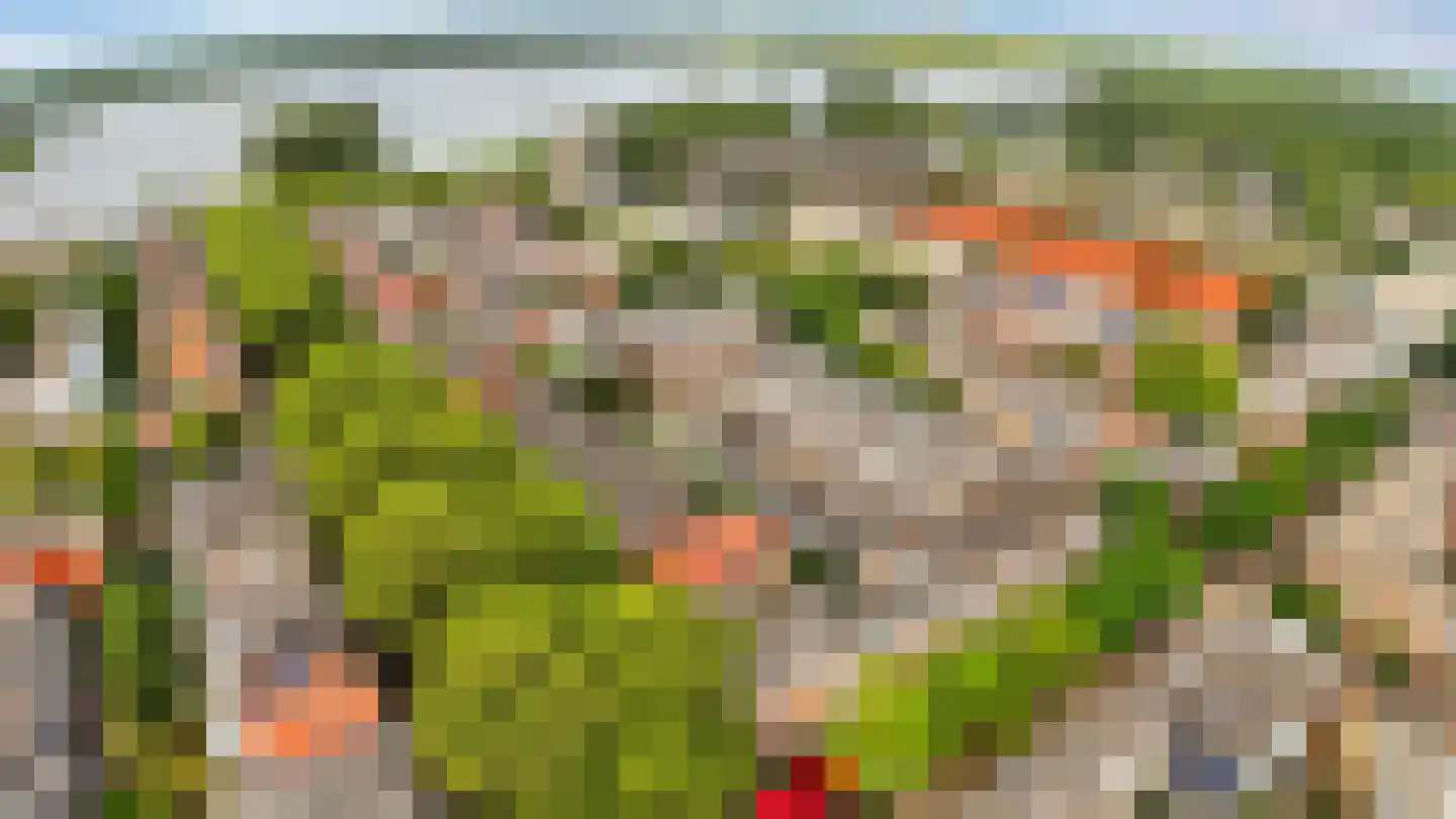 Jericholaan 82 B Rotterdam thumbnail 55