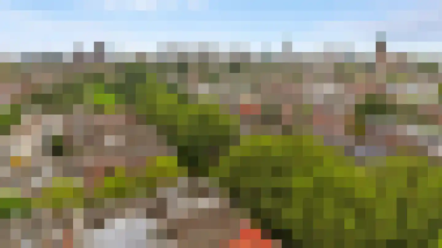 Jericholaan 82 B Rotterdam thumbnail 57