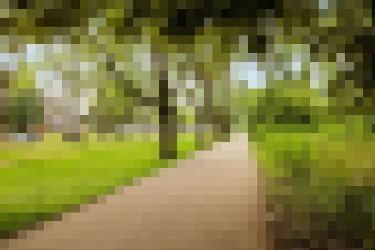 Jericholaan 82 B Rotterdam thumbnail 59