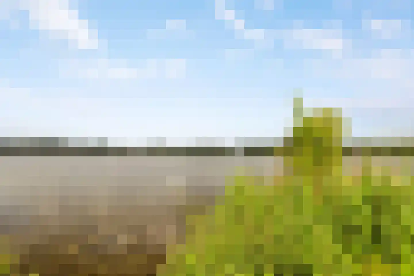 Jericholaan 82 B Rotterdam thumbnail 61