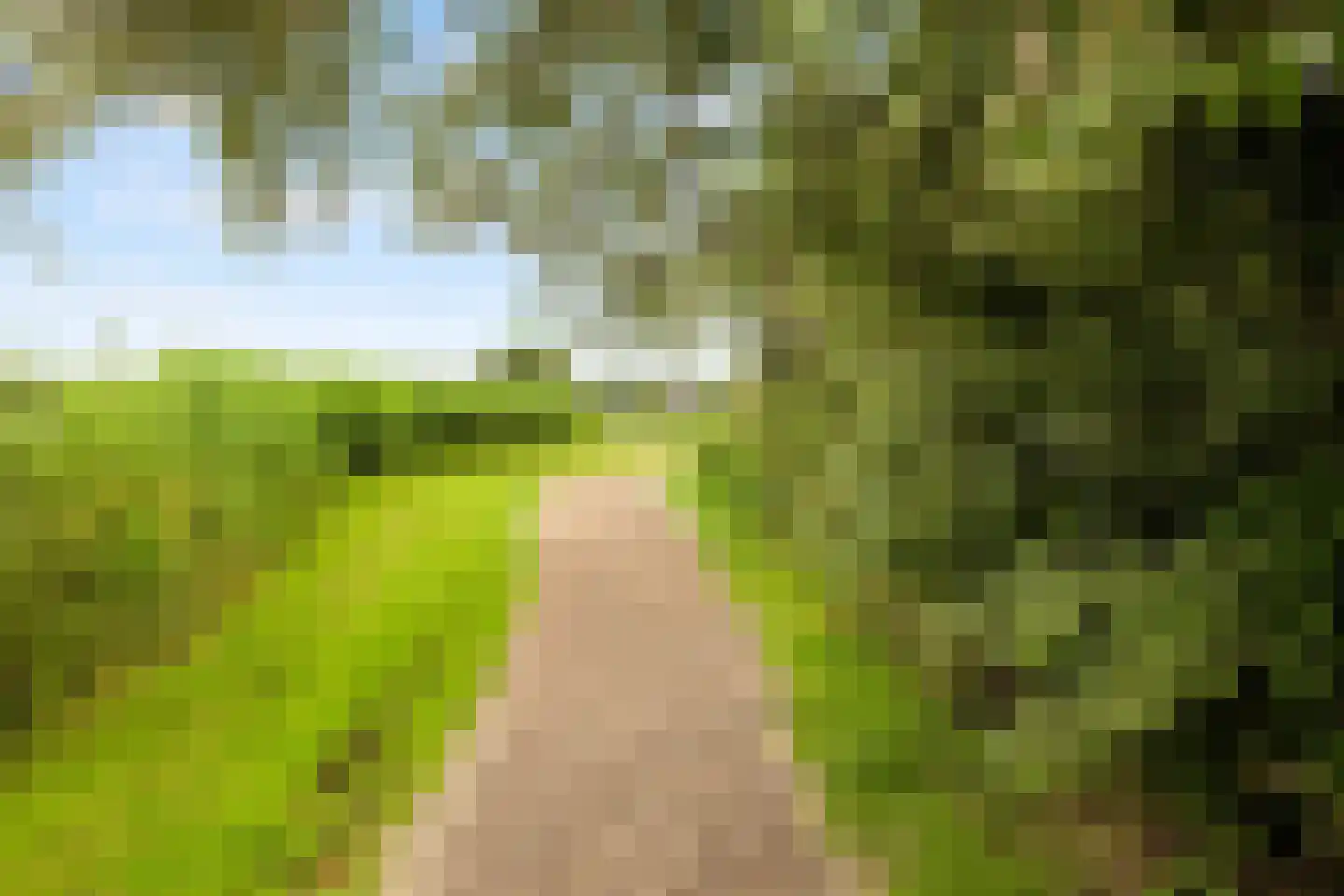 Jericholaan 82 B Rotterdam thumbnail 62