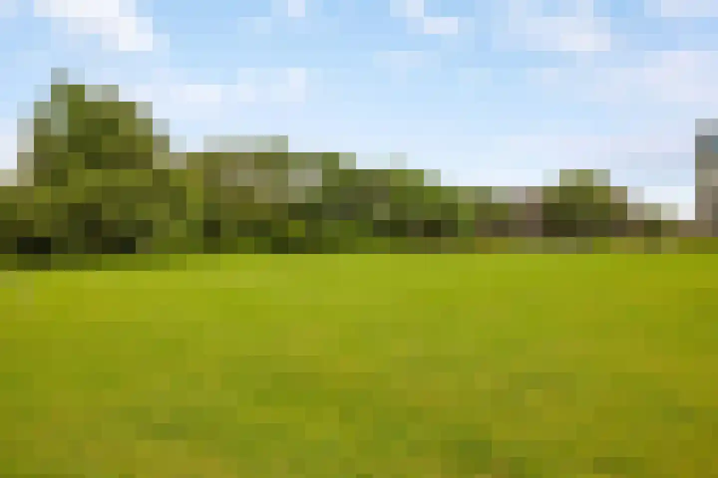 Jericholaan 82 B Rotterdam thumbnail 63