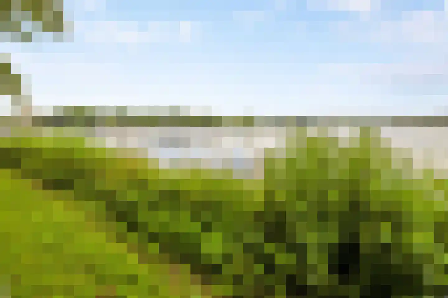 Jericholaan 82 B Rotterdam thumbnail 65