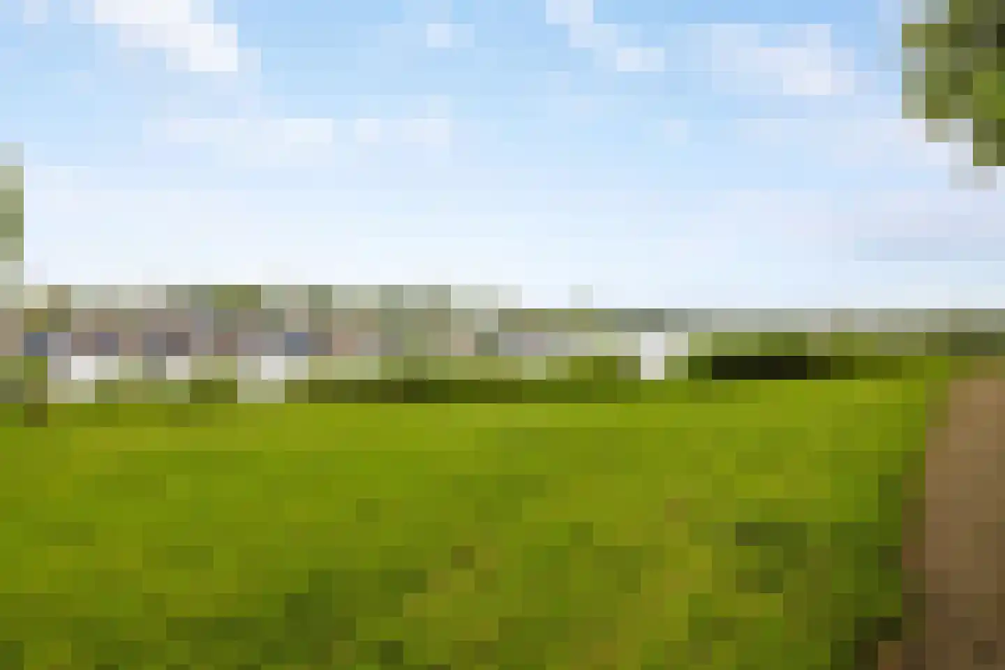 Jericholaan 82 B Rotterdam thumbnail 66