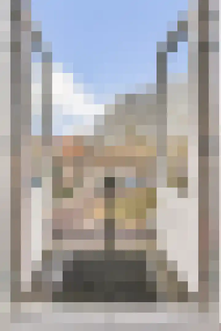 Jericholaan 84 B 01 Rotterdam thumbnail 12