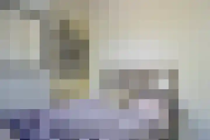Jericholaan 84 B 01 Rotterdam thumbnail 14