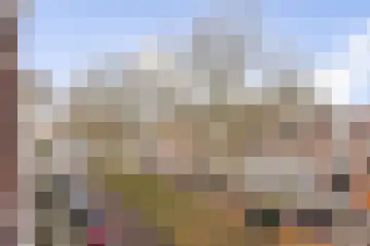 Jericholaan 84 B 01 Rotterdam thumbnail 14