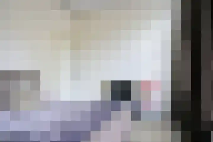 Jericholaan 84 B 01 Rotterdam thumbnail 16