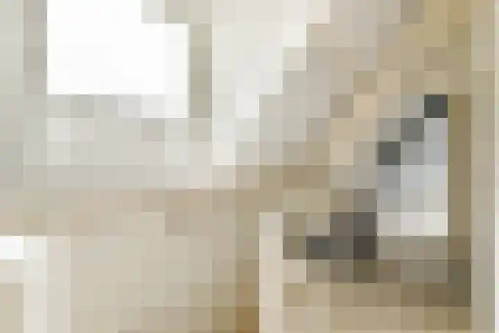 Jericholaan 84 B 01 Rotterdam thumbnail 17