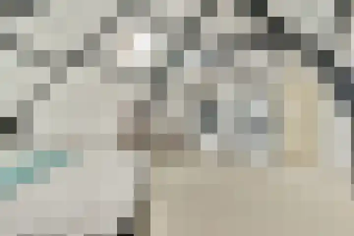 Jericholaan 84 B 01 Rotterdam thumbnail 18