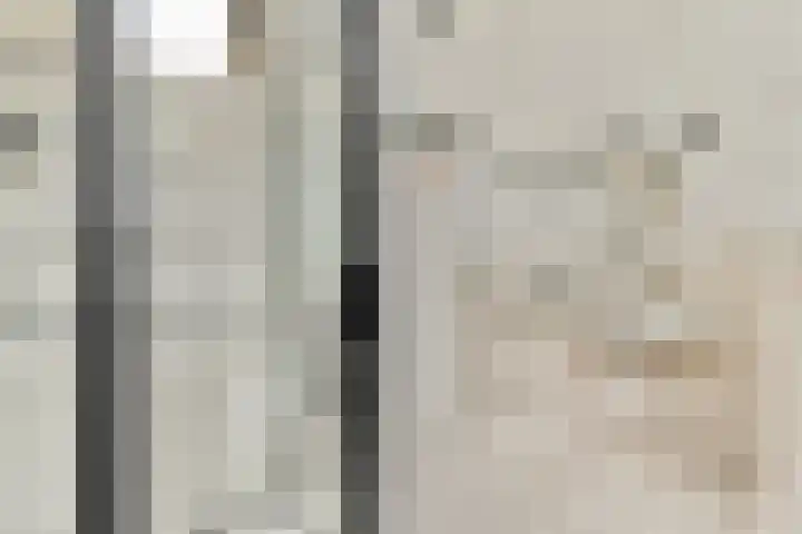 Jericholaan 84 B 01 Rotterdam thumbnail 19
