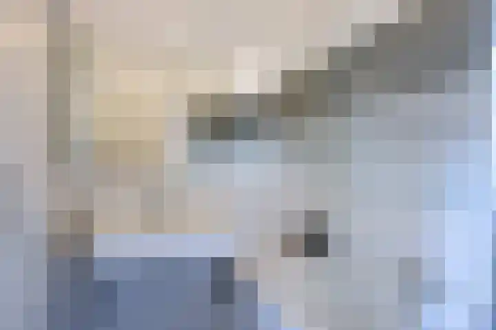 Jericholaan 84 B 01 Rotterdam thumbnail 20