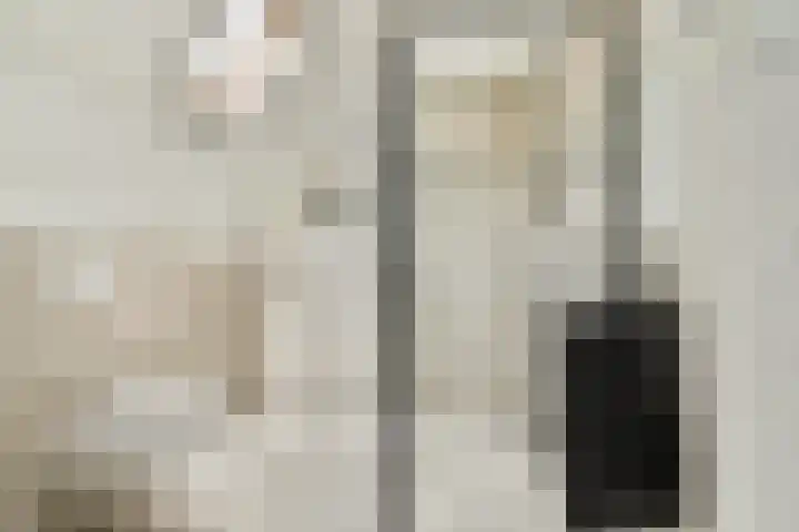 Jericholaan 84 B 01 Rotterdam thumbnail 20