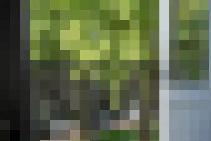 Jericholaan 84 B 01 Rotterdam thumbnail 22