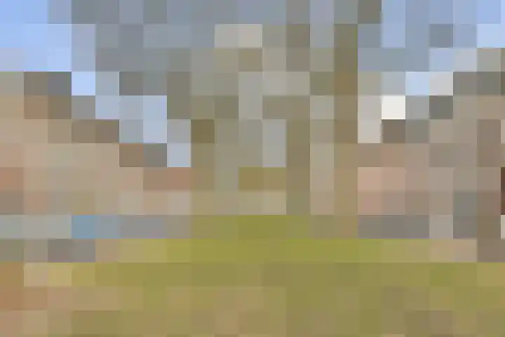 Jericholaan 84 B 01 Rotterdam thumbnail 23