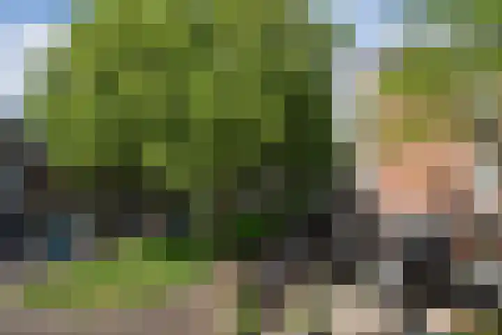 Jericholaan 84 B 01 Rotterdam thumbnail 23