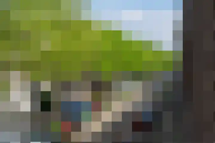 Jericholaan 84 B 01 Rotterdam thumbnail 24