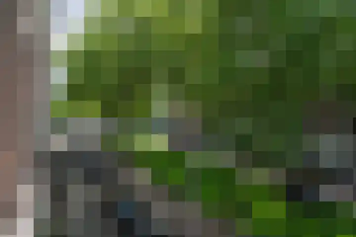 Jericholaan 84 B 01 Rotterdam thumbnail 25