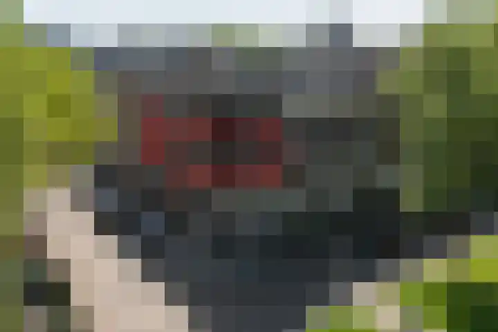 Jericholaan 84 B 01 Rotterdam thumbnail 28