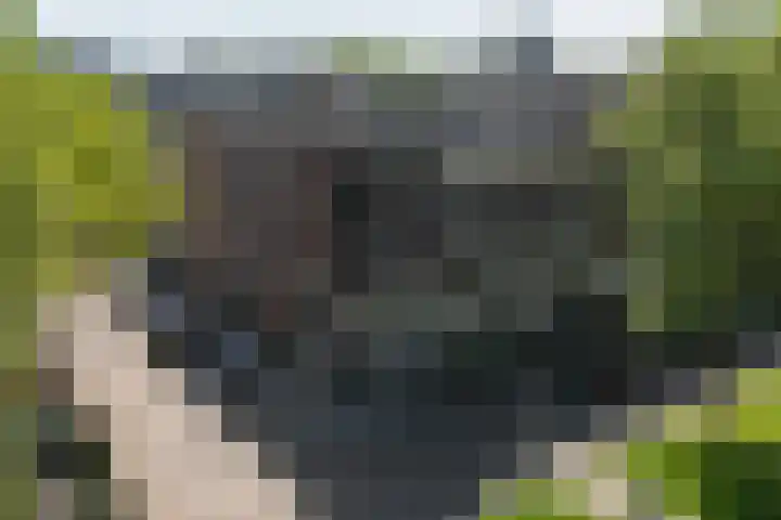 Jericholaan 84 B 01 Rotterdam thumbnail 29
