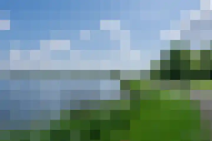 Jericholaan 84 B 01 Rotterdam thumbnail 33