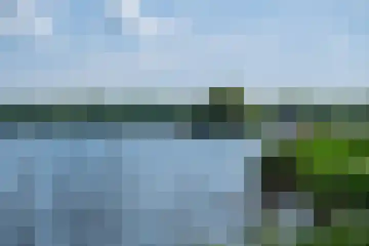 Jericholaan 84 B 01 Rotterdam thumbnail 34