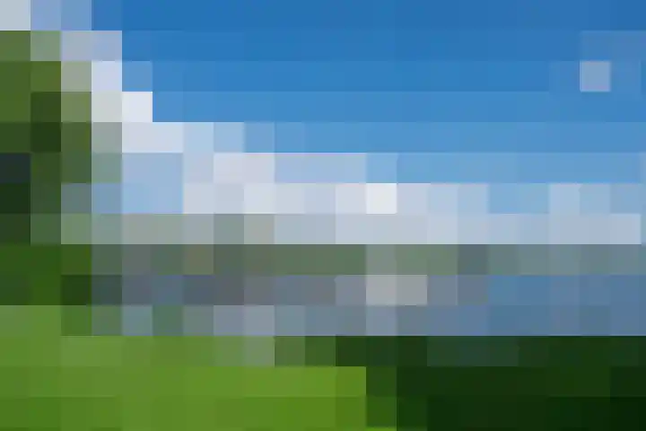 Jericholaan 84 B 01 Rotterdam thumbnail 35