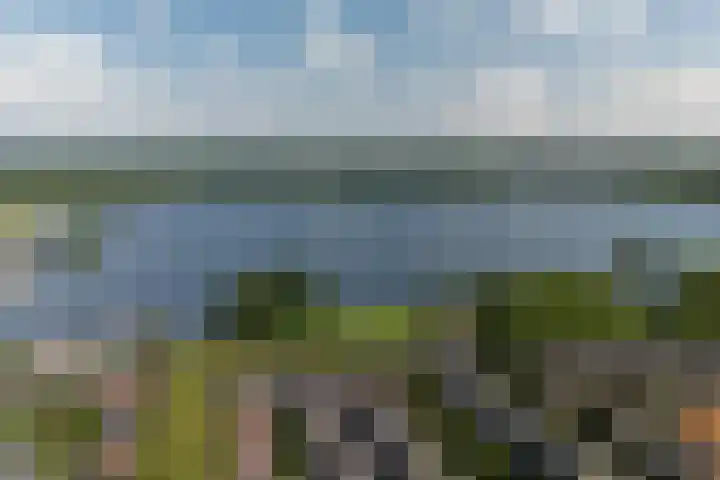 Jericholaan 84 B 01 Rotterdam thumbnail 36
